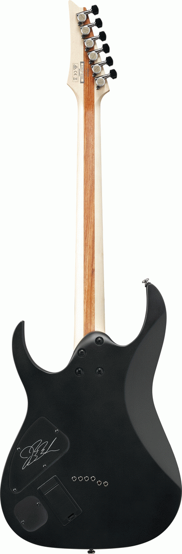 Ibanez JBBM30 JB Brubaker Signature Model - Black Flat