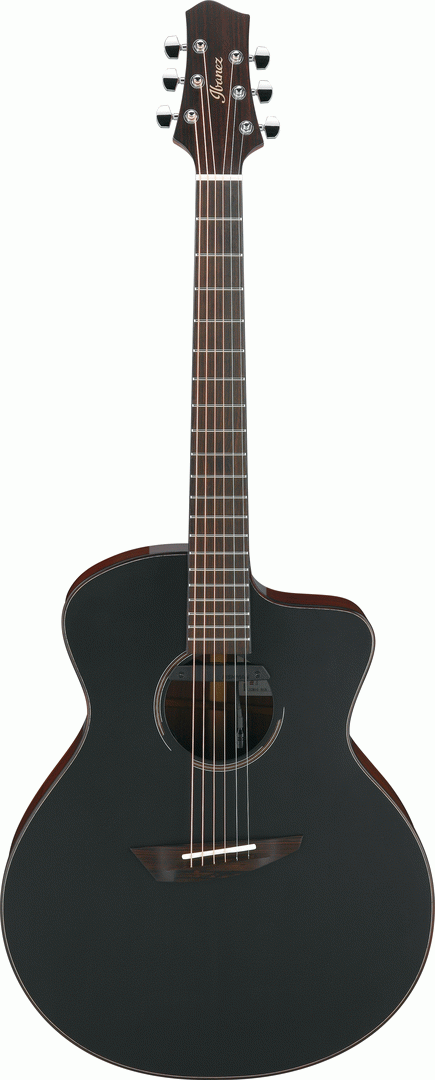 Ibanez JGM10 BSN