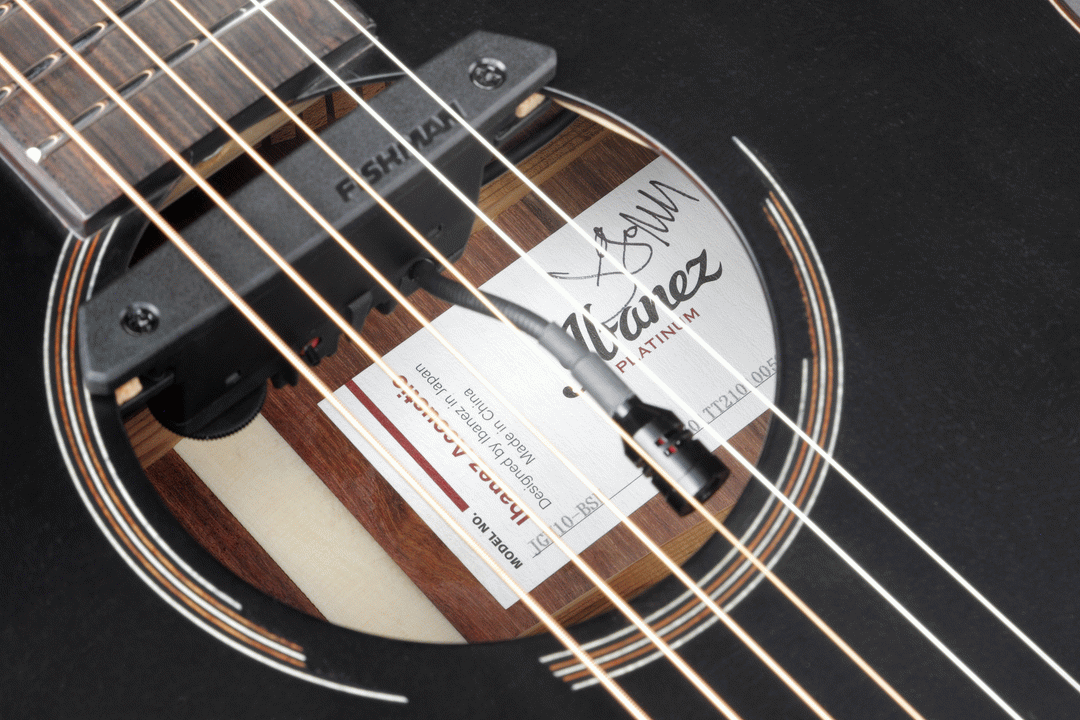 Ibanez JGM10 BSN JON GOMM Acoustic Guitar W/Case - Black Satin Top