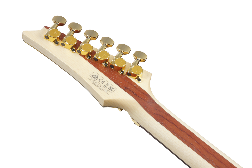 Ibanez JS1 Joe Satriani Signature Model w/Case - Gold