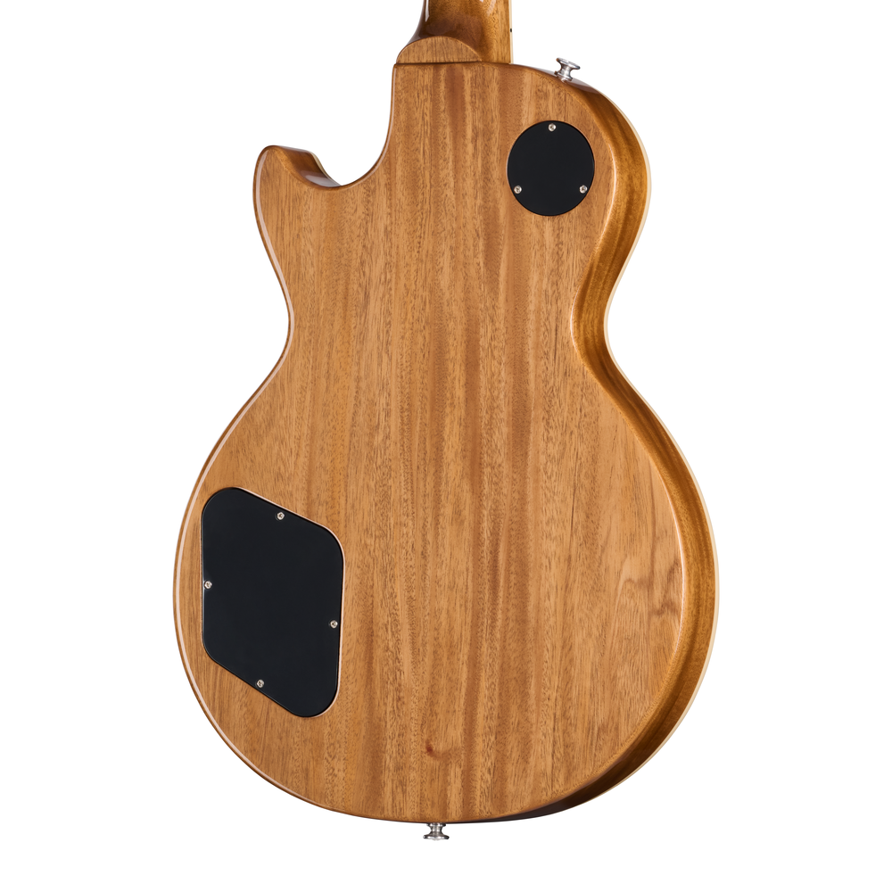 Gibson Les Paul Standard 50s Double Trouble - Honey Burst Gloss