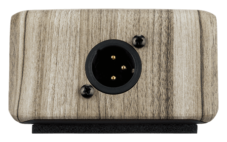 LR Baggs Align DI Acoustic Pedal