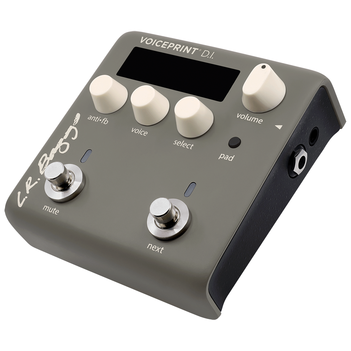 LR Baggs Voiceprint DI