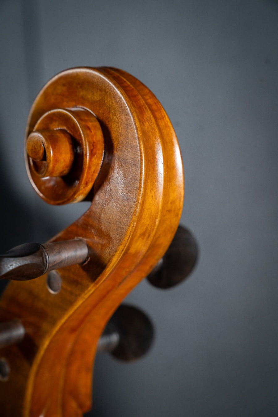 Makers II 4/4 Cello w/Subtle Antiquing - Fully Set Up W/Jargar Strings (Instrument Only)