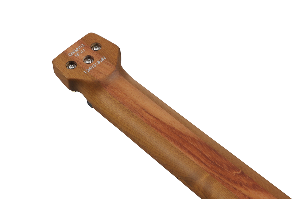 Ibanez MGFM10 Manual Gardner Signature Guitar - Obsidian Black Low Gloss