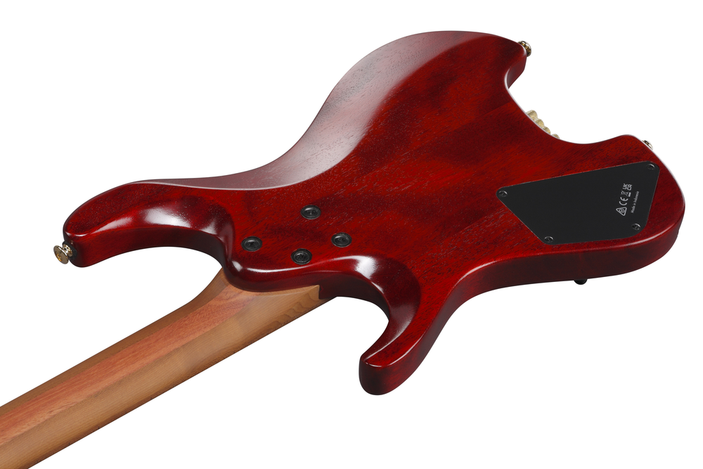 Ibanez MGFM10 Manual Gardner Signature Guitar - Obsidian Black Low Gloss