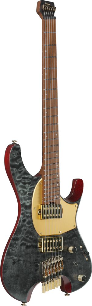 Ibanez MGFM10 Manual Gardner Signature Guitar - Obsidian Black Low Gloss