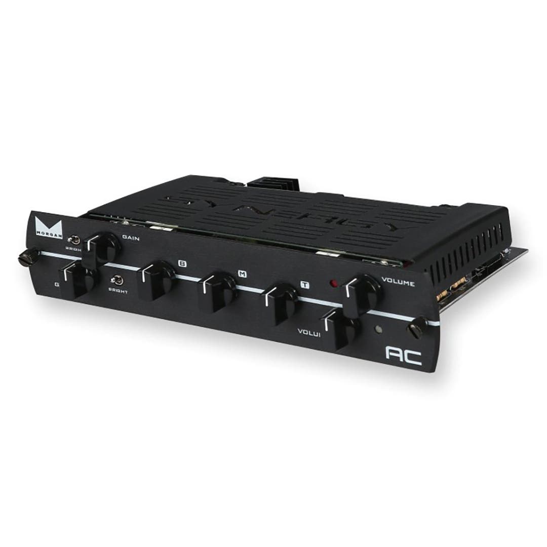 Synergy Morgan AC 2ch Tube Pre-Amp Module