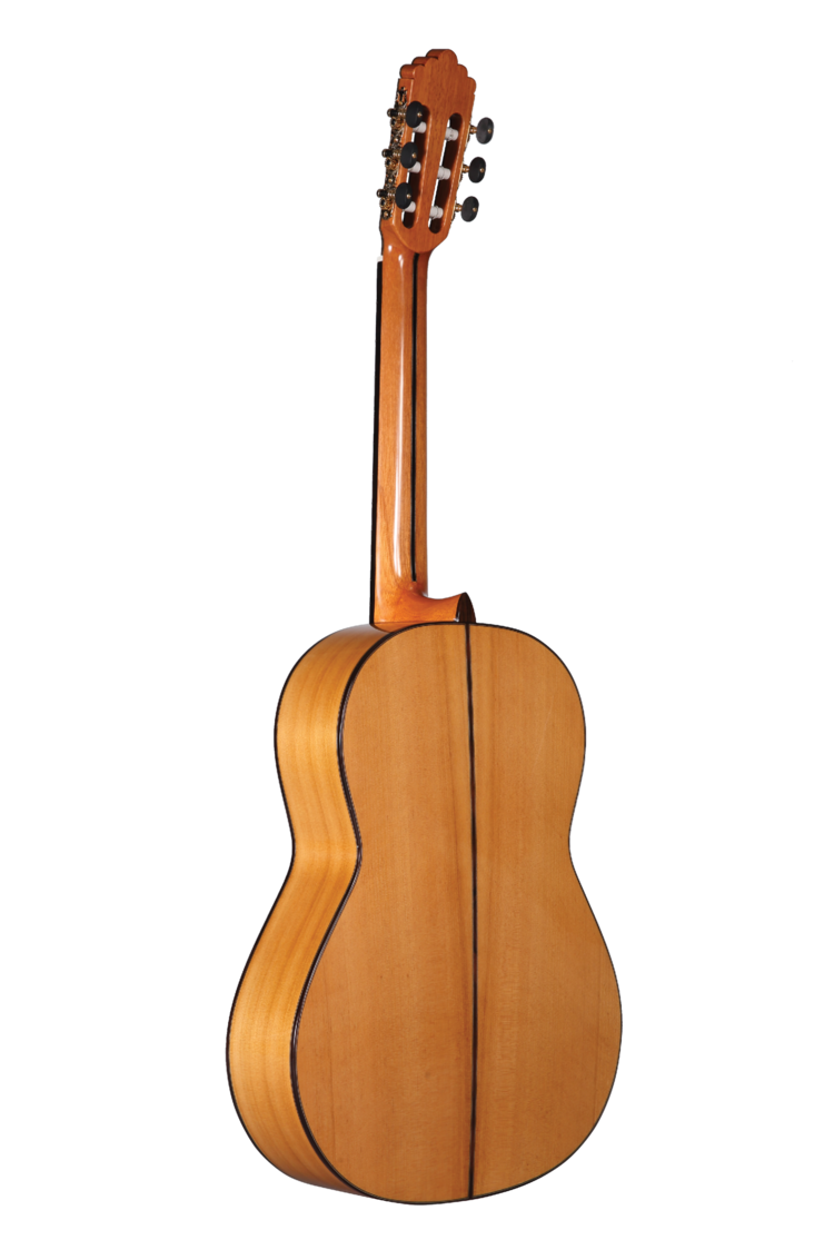 Altamira Guitars N700F Flamenco Guitar - Solid Spruce / Cypress