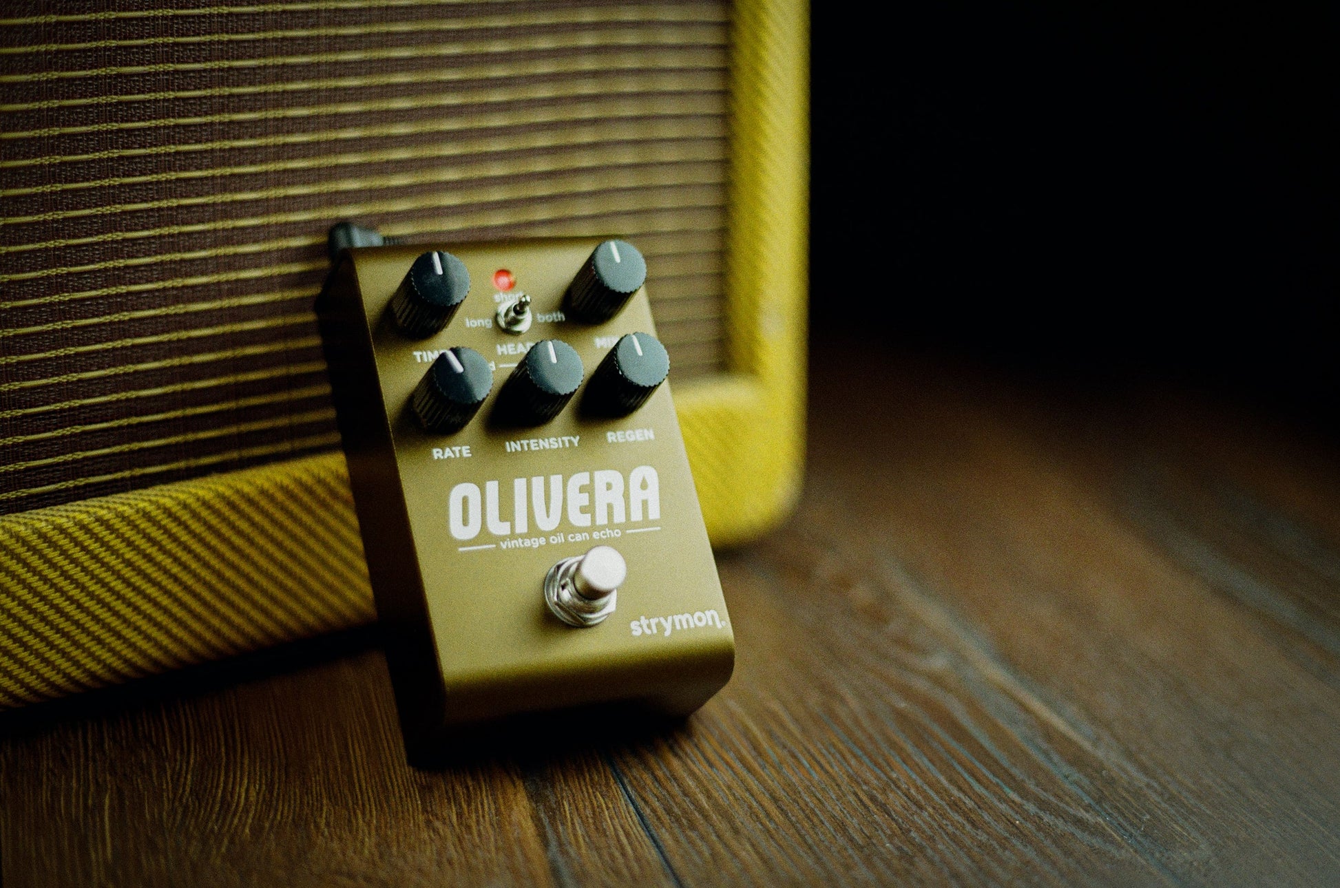 Strymon Olivera Vintage Oil Can Echo