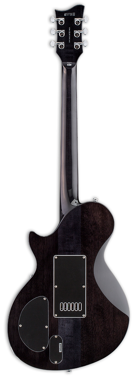 ESP LTD BW-1 Evertune Ben Weinmen Guitar w/Case - See Thru Black