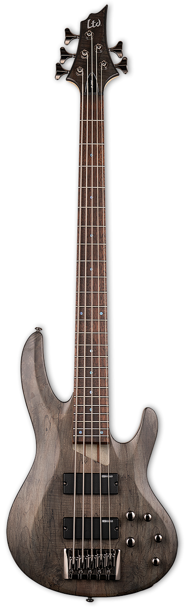 ESP LTD B-205SM 5-String Bass - See Thru Black Satin