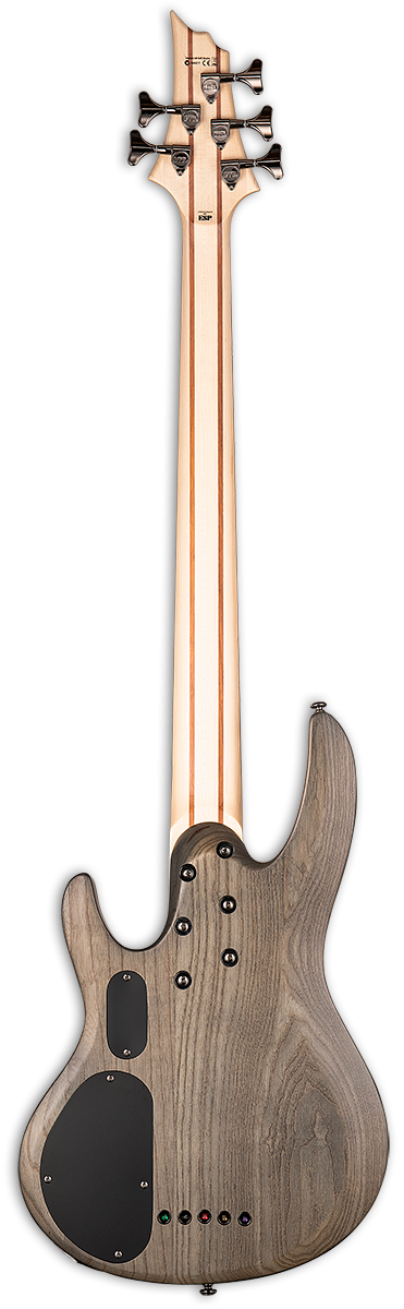 ESP LTD B-205SM 5-String Bass - See Thru Black Satin