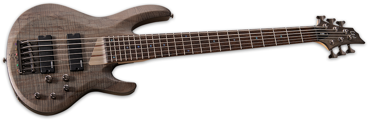 ESP LTD B-205SM 5-String Bass - See Thru Black Satin