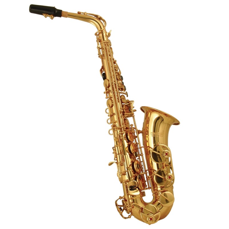 Wiseman Beginner Eb Alto Saxophone (WI-DAS-500)