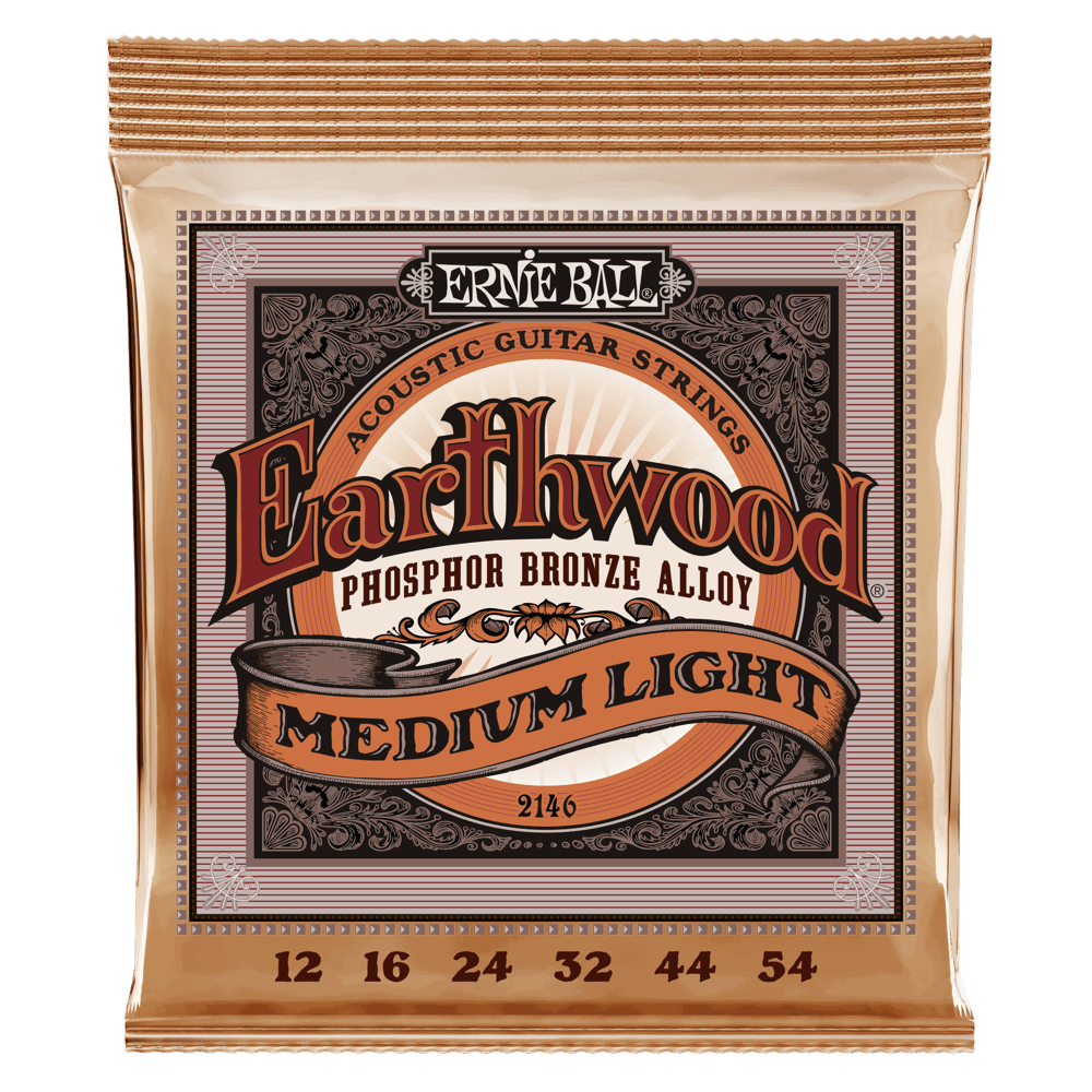 Ernie Ball Earthwood Acoustic Guitar String Set - Medium-Light - 12/54