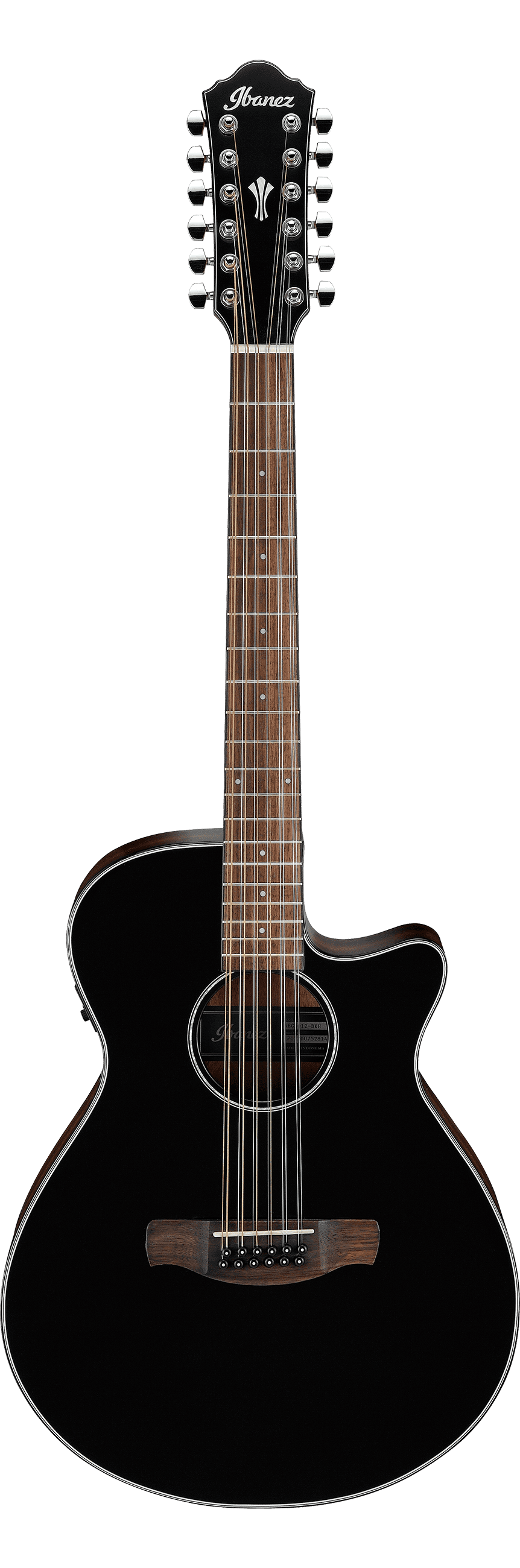 Ibanez AEG5012 BKH
