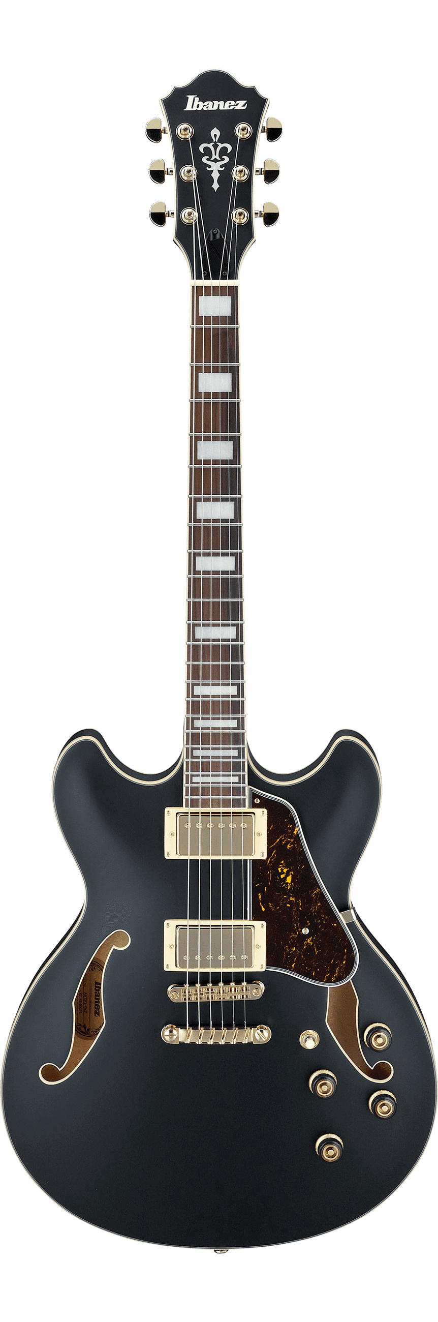 Ibanez AS73G BKF