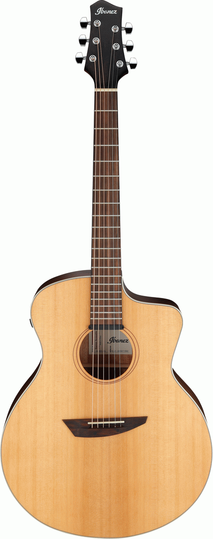 Ibanez PA230E Acoustic Guitar - Natural Satin