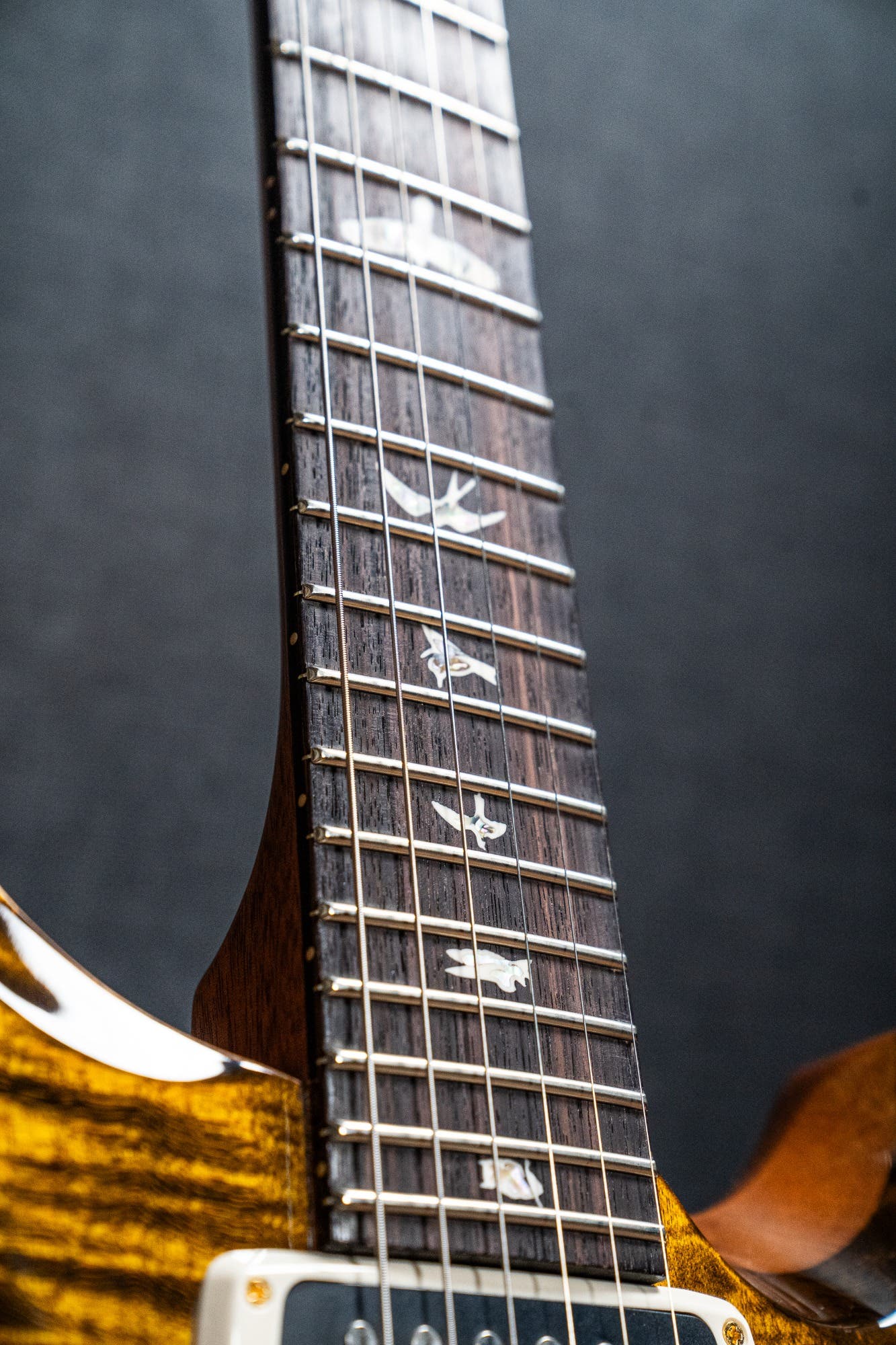 Paul Reed Smith (PRS) Custom 24-08 - Yellow Tiger - 10 Top