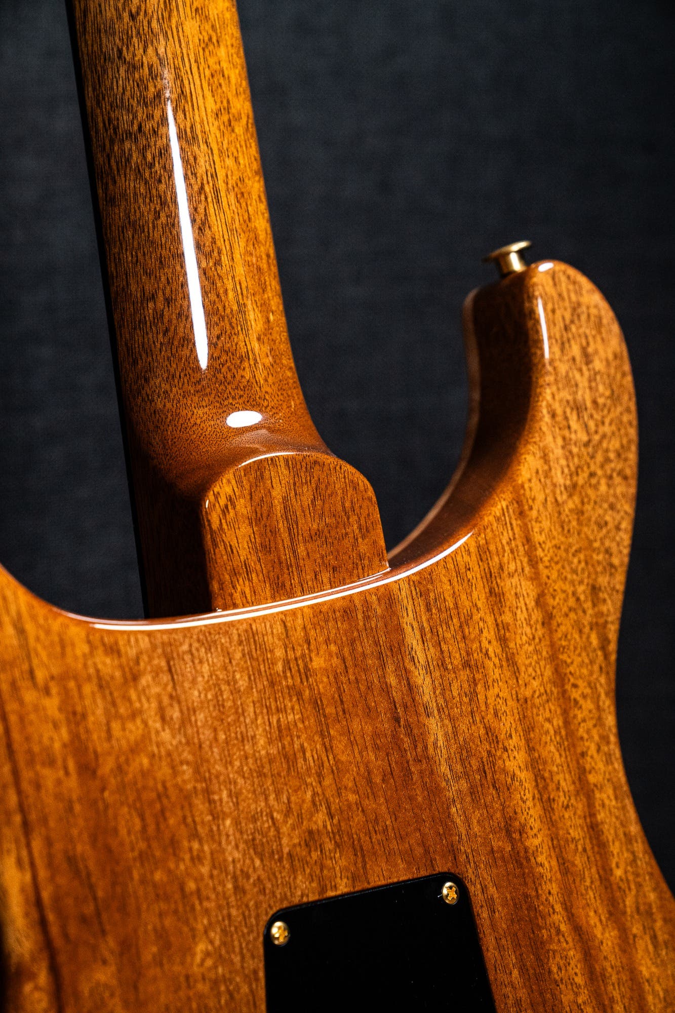 Paul Reed Smith (PRS) Custom 24-08 - Yellow Tiger - 10 Top