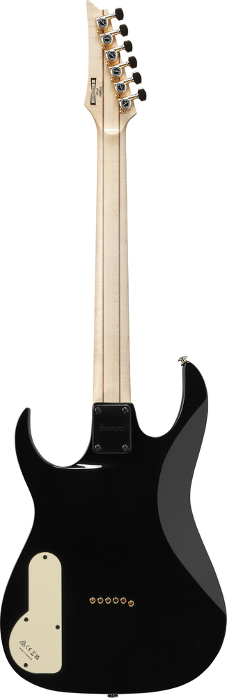 Ibanez PGM50 BK Paul Gilbert Signature Guitar w/Gigbag - Black