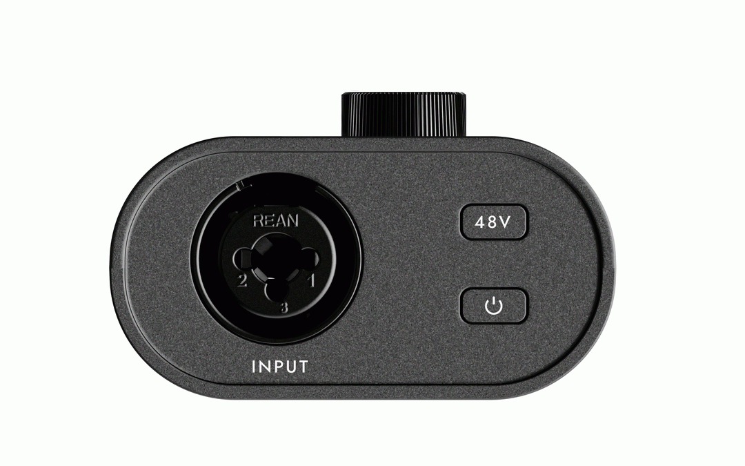 Blackstar Polar Go Mobile Audio Interface