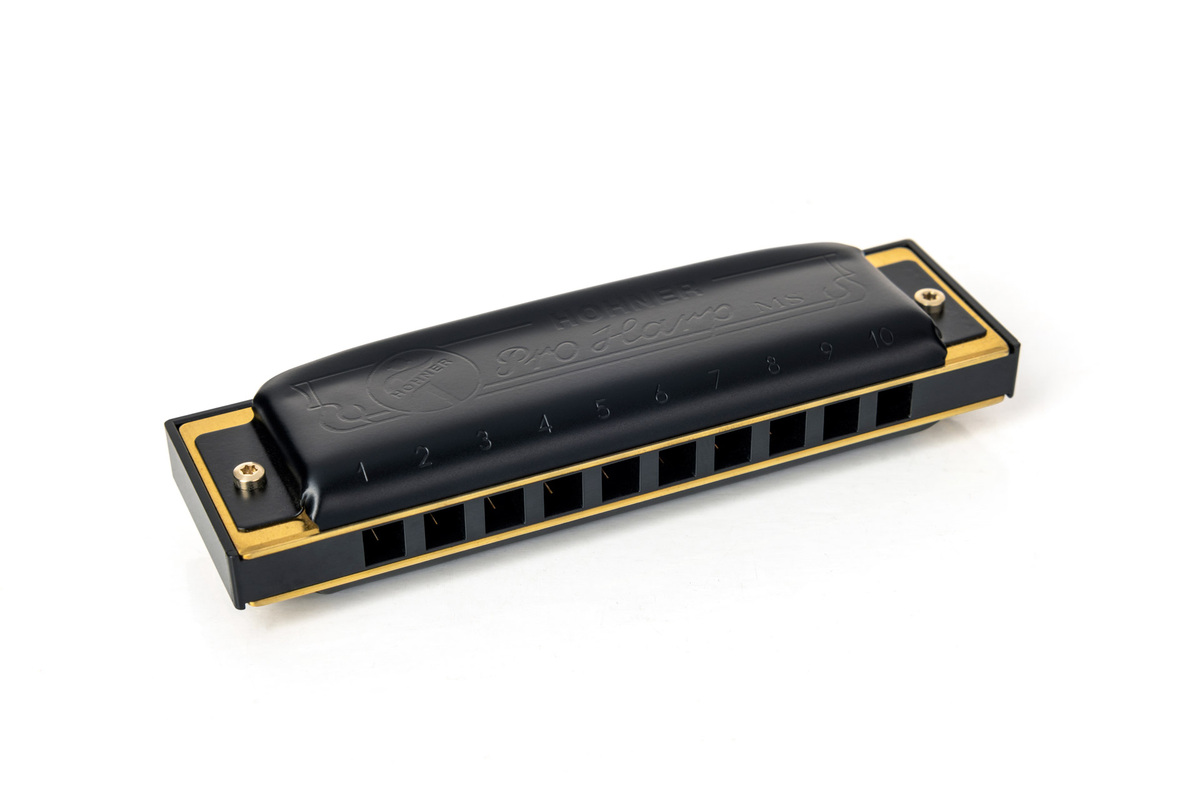 Hohner Pro Harp D-Major Harmonica