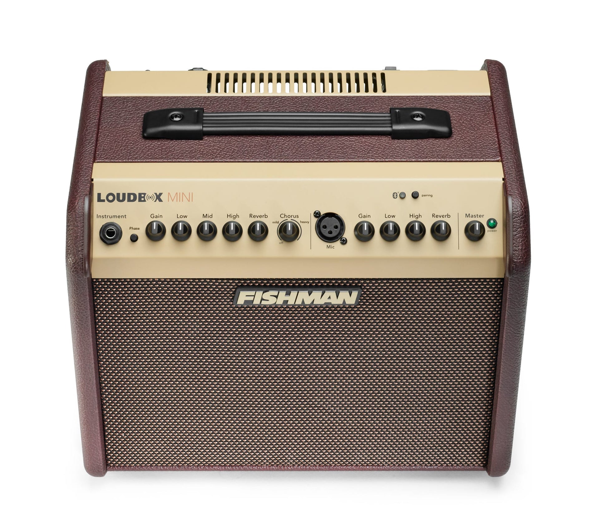 Fishman Loudbox Mini w/ Bluetooth Acoustic Amplifier