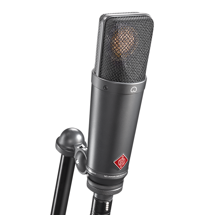 Neumann TLM193 Studio Condenser Microphone