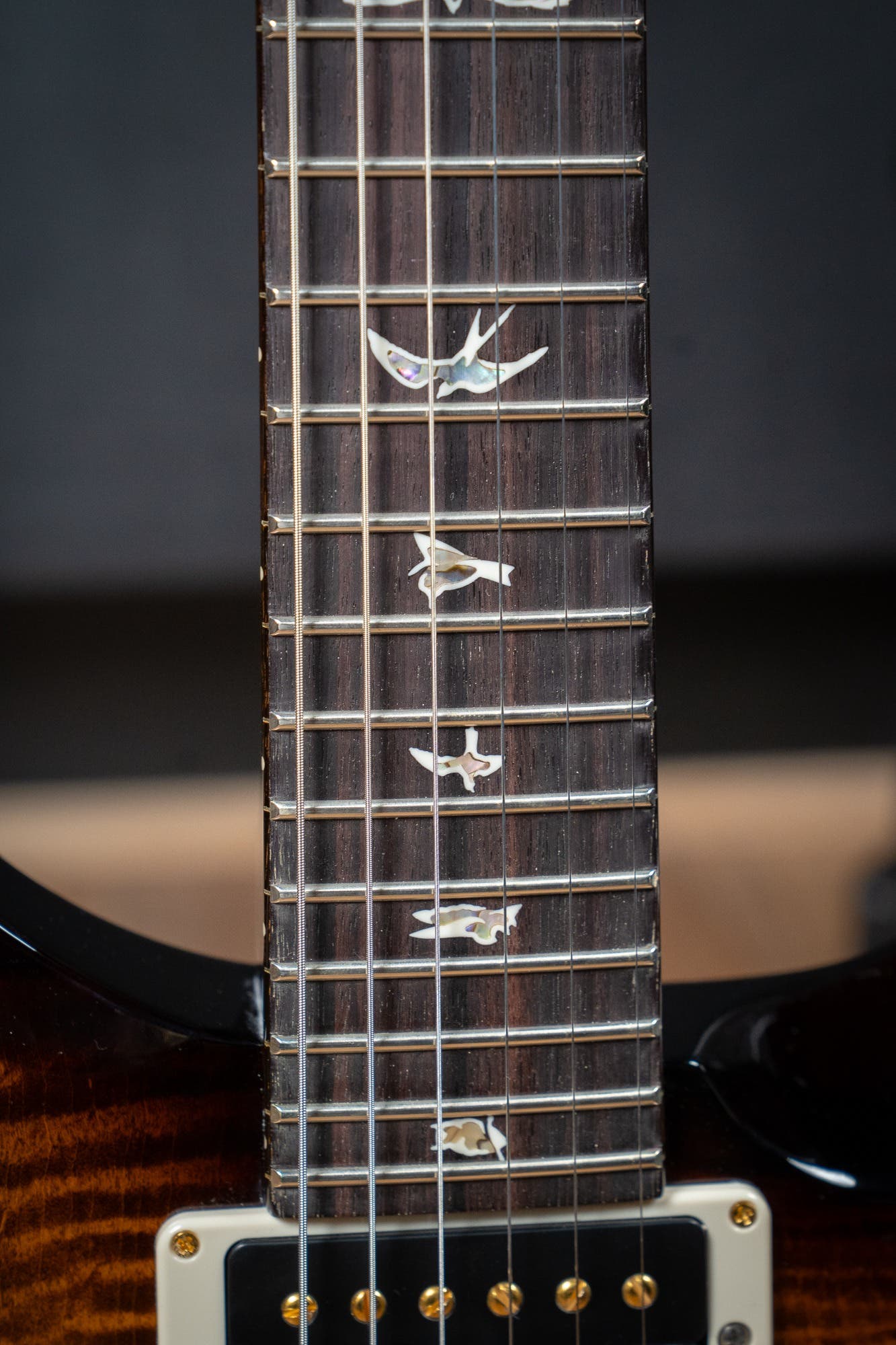 Paul Reed Smith (PRS) Custom 24 w/Pattern Thin Neck - Black Gold Burst - 10 Top