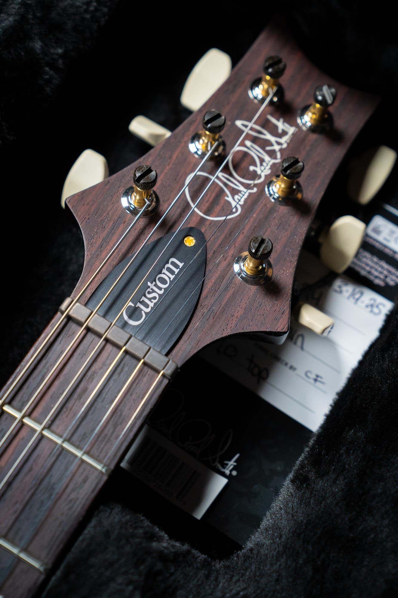 Paul Reed Smith (PRS) Custom 24 w/Pattern Thin Neck - Black Gold Burst - 10 Top