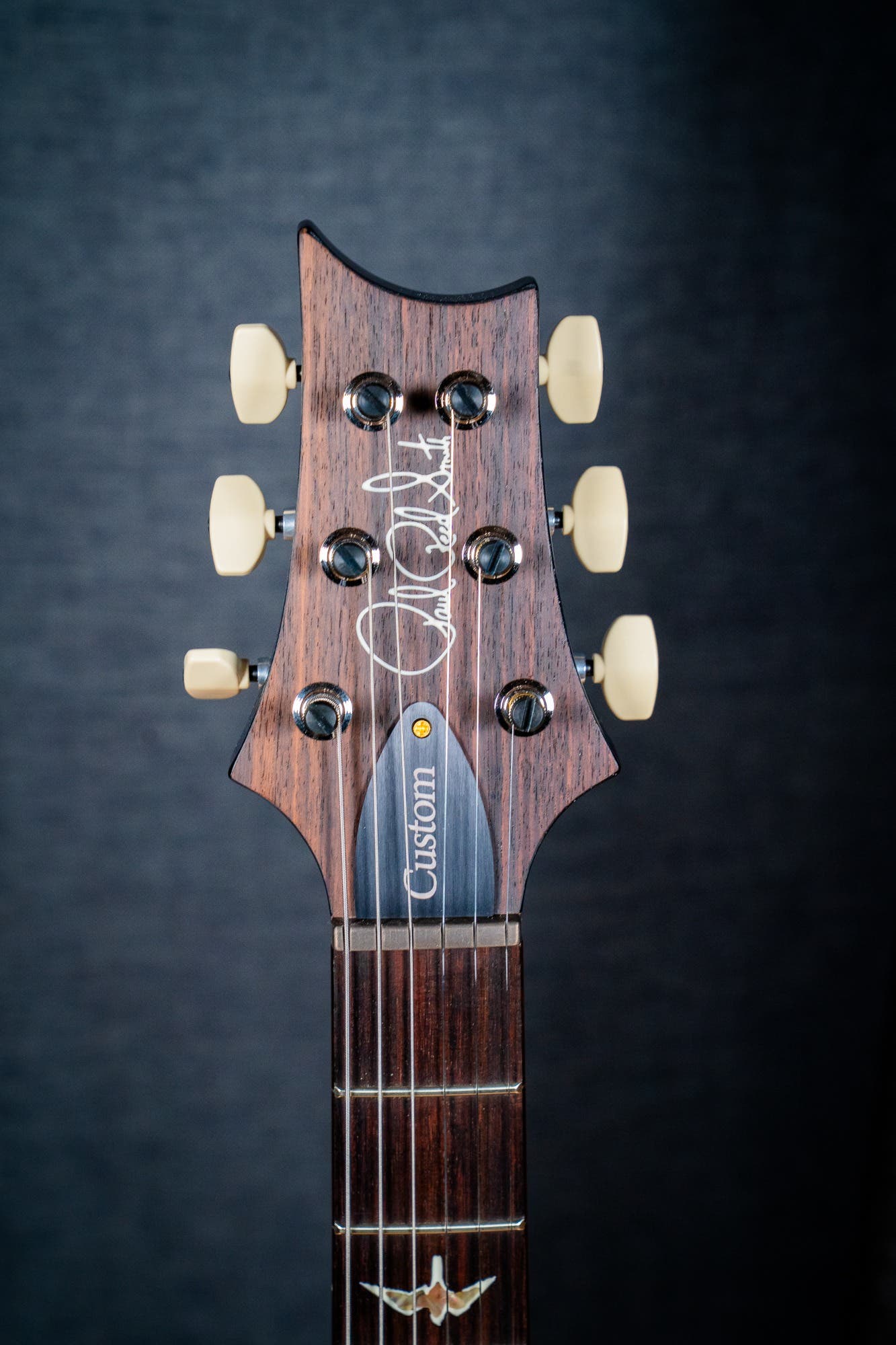 Paul Reed Smith (PRS) Custom 24 w/Pattern Thin Neck - Faded Whale Blue - 10 Top