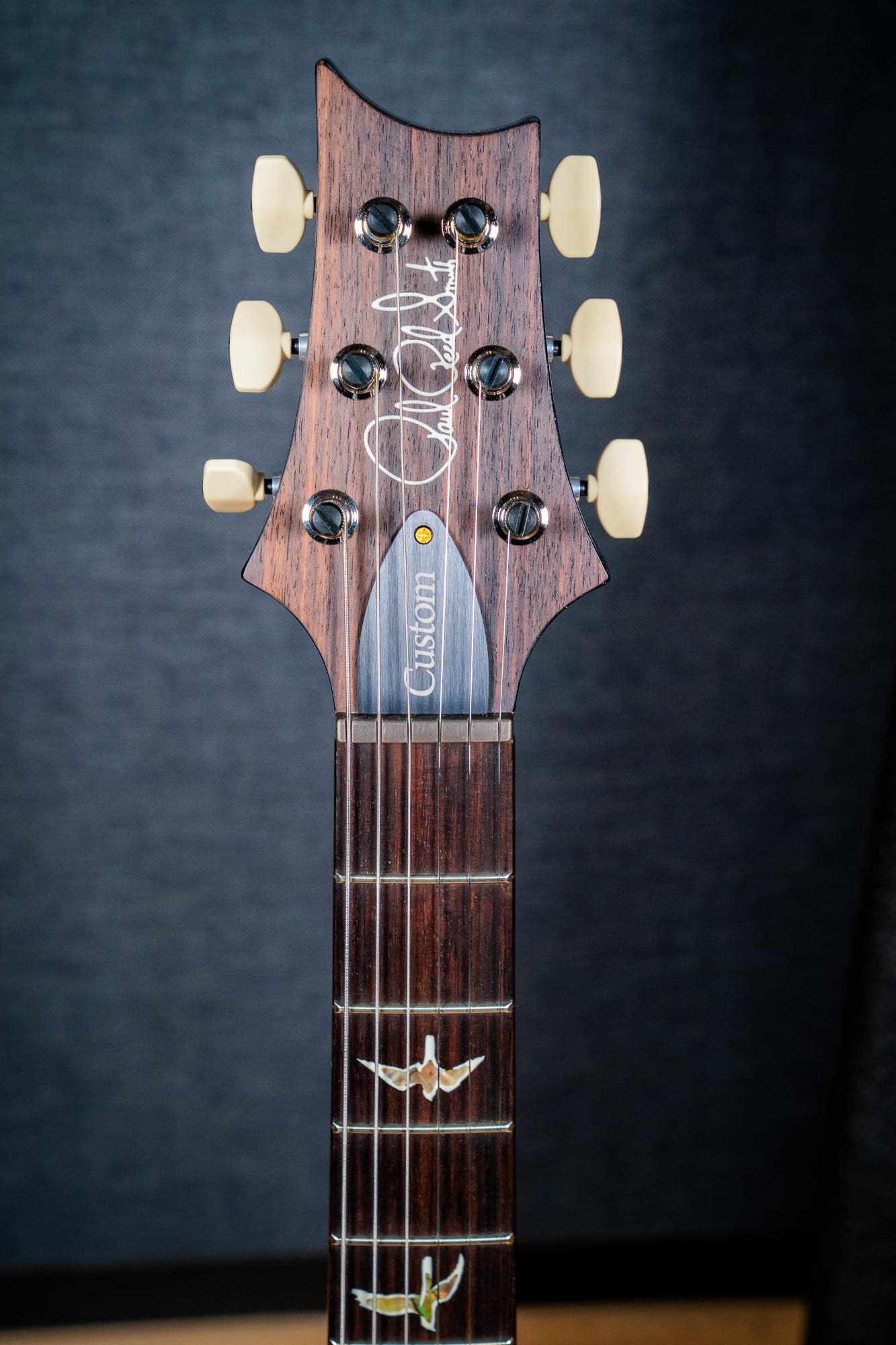 Paul Reed Smith (PRS) Custom 24 w/Pattern Thin Neck - Faded Whale Blue - 10 Top