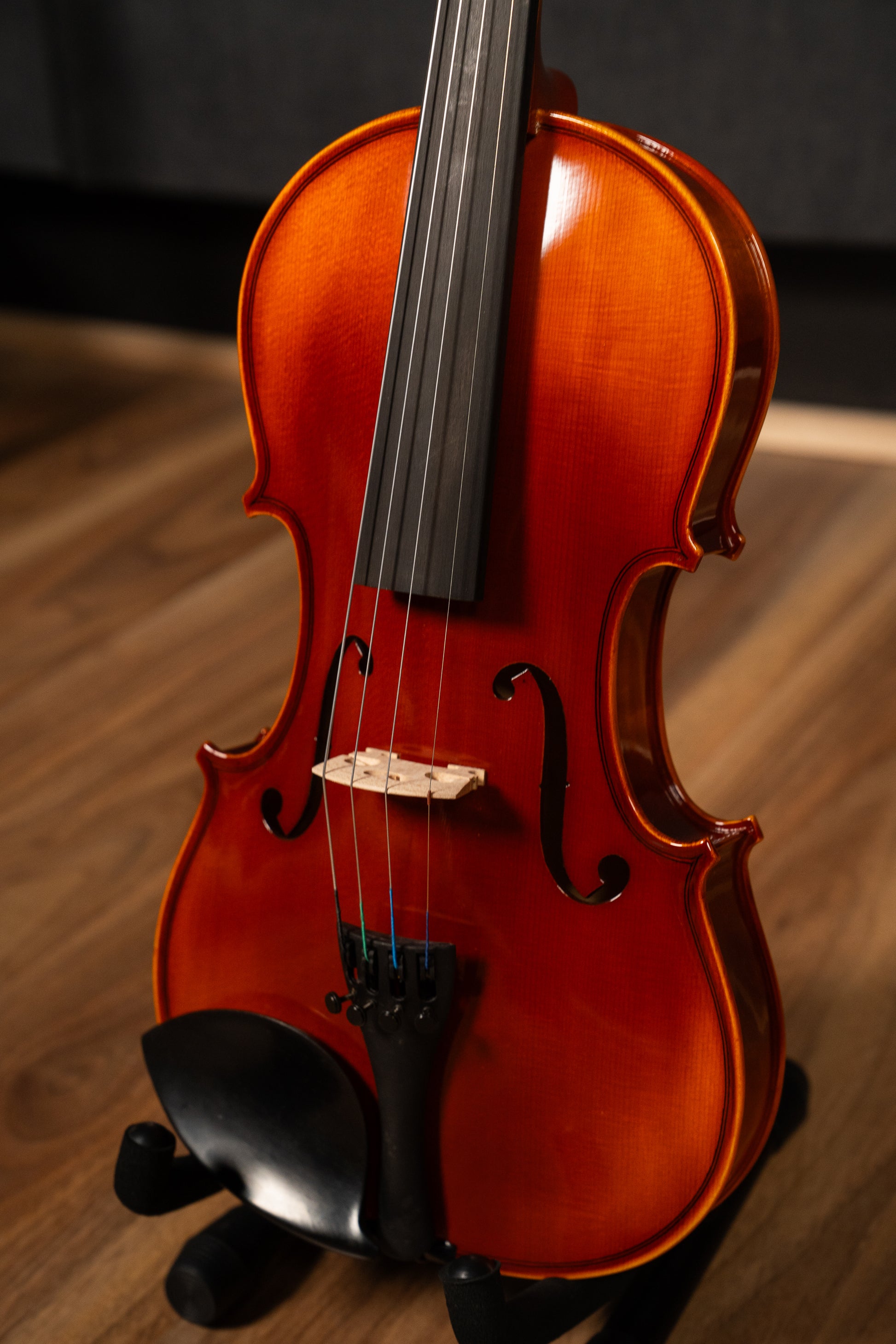 RAGGETTI RV5 4/4 VIOLIN OUTFIT PROFESSIONALY SET UP