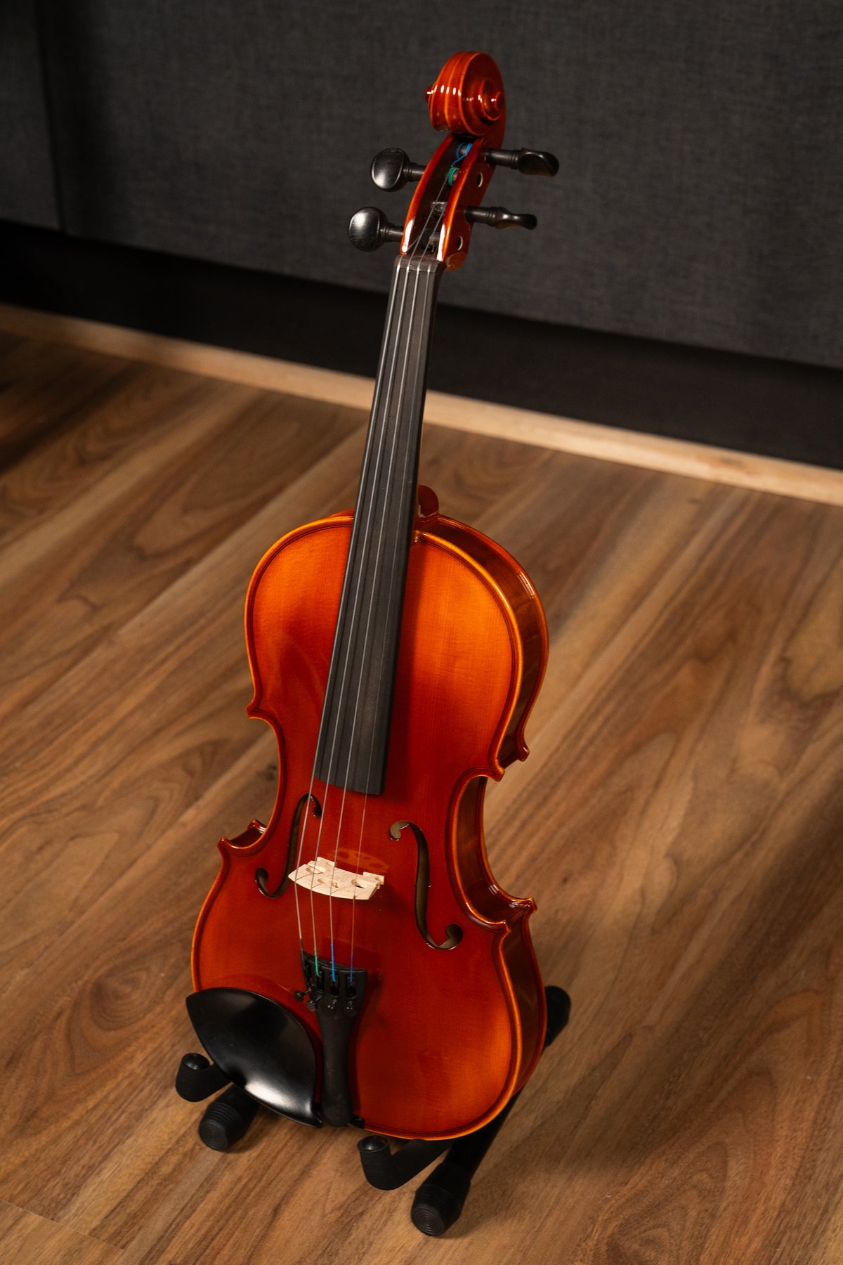 Raggetti RV5 4/4 Violin Outfit w/Professional Set Up