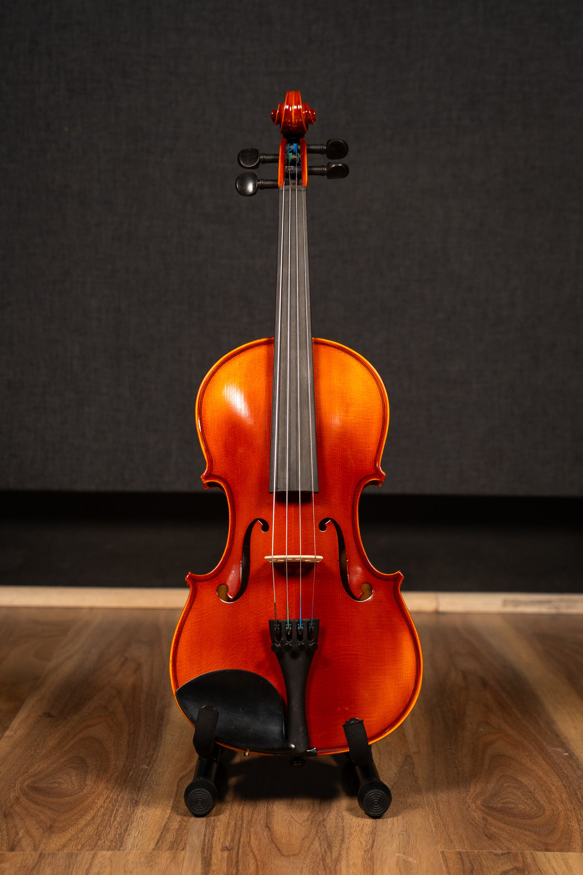 RAGGETTI RV5 4/4 VIOLIN OUTFIT PROFESSIONALY SET UP