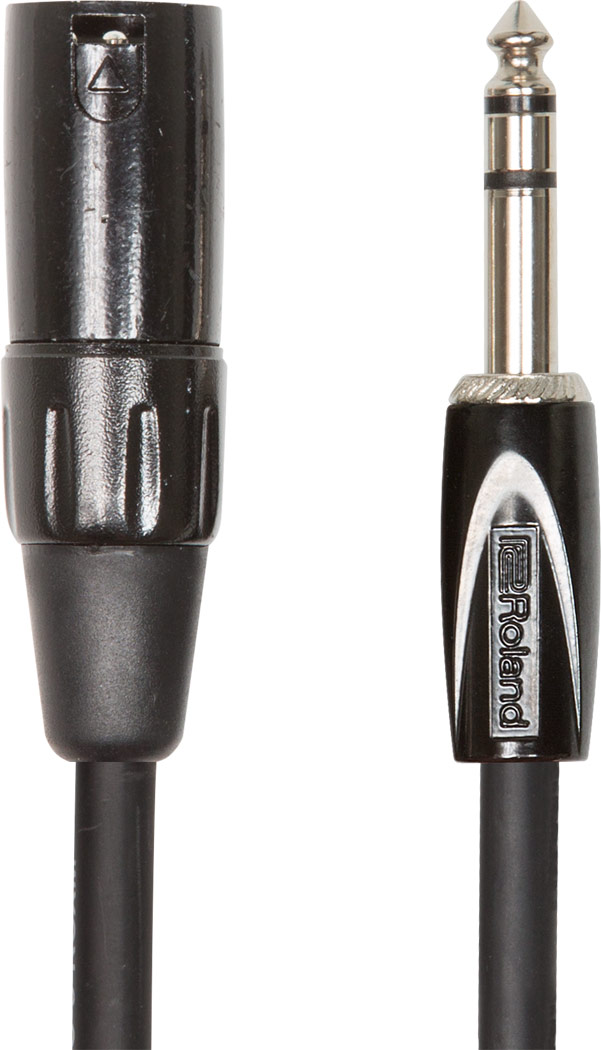 Roland RCC-10-TRXM Interconnect - TRS to XLRM 10ft