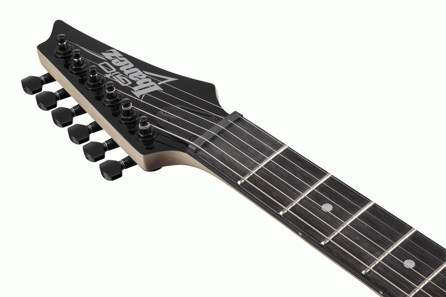 Ibanez RG120QASP Electric Guitar - Blue Gradation