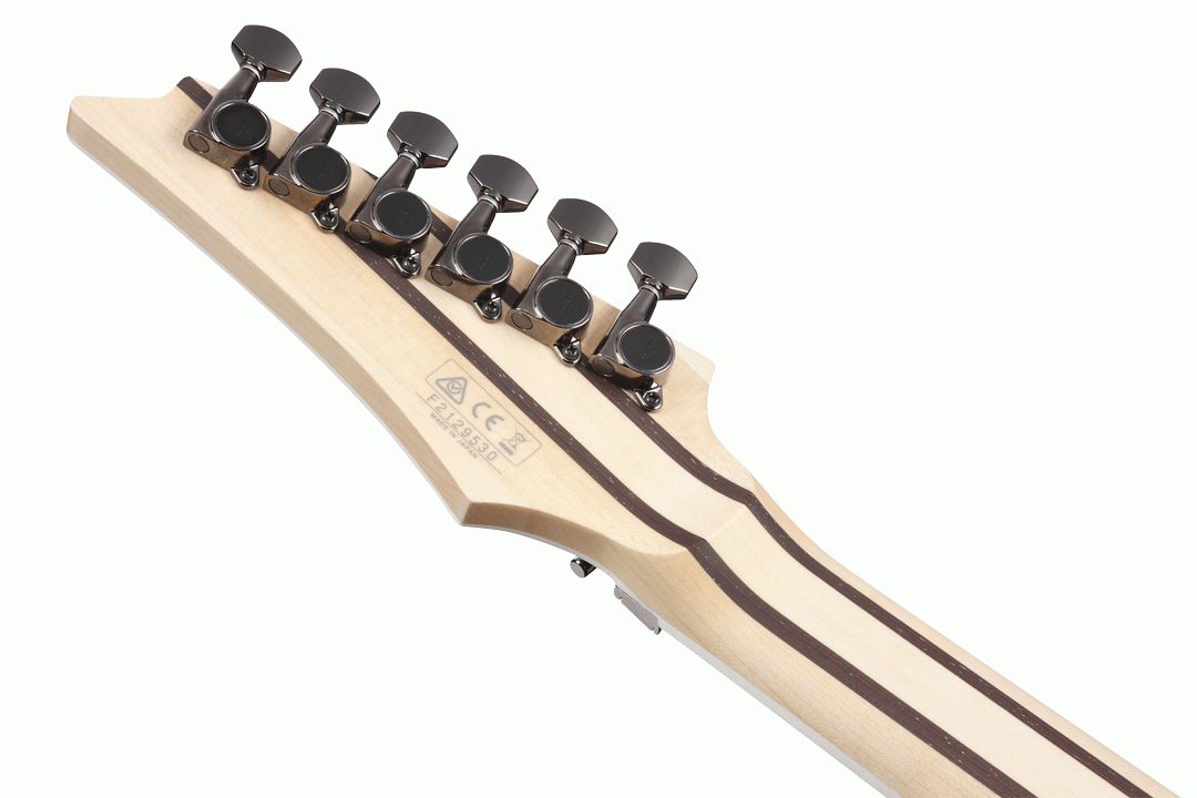 Ibanez RG5120M PRT Prestige Electric Guitar w/Case - Polar Lights