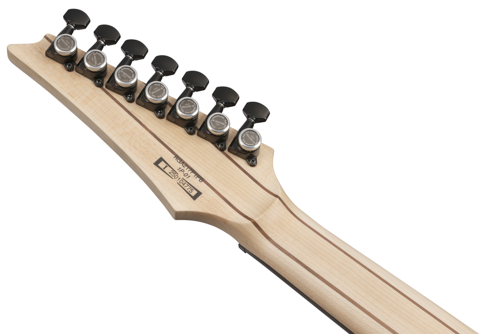 Ibanez RGA217P1PB 7 String Electric Guitar w/Bag - Deep Twilight Burst Low Gloss