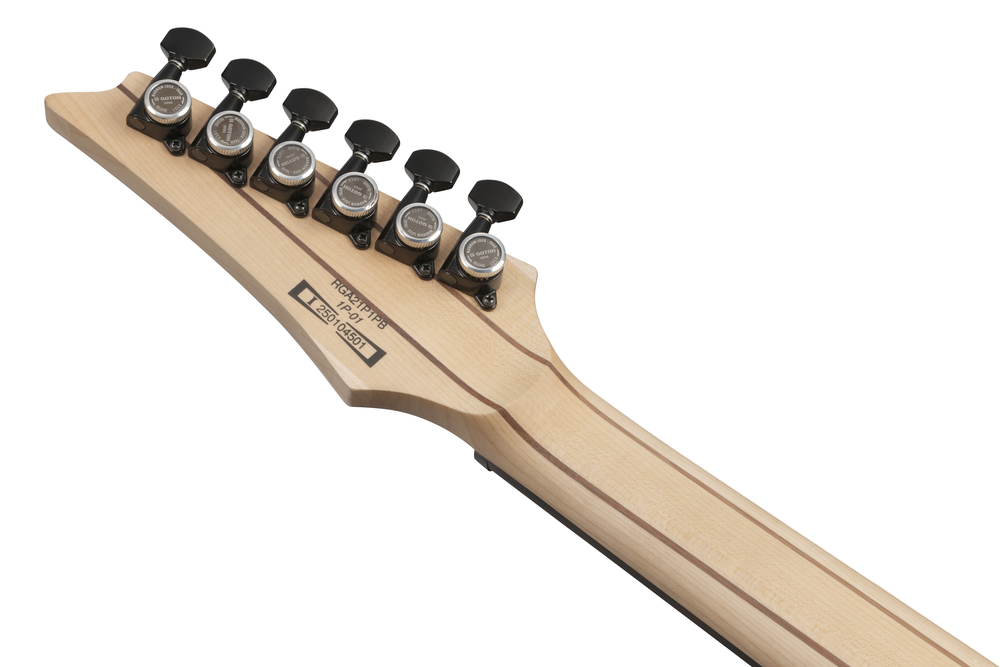 Ibanez RGA21P1PB Electric Guitar w/Bag - Deep Twilight Burst Low Gloss