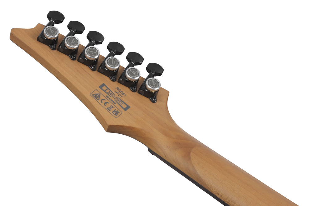 Ibanez RGD61 Electric Guitar - Black Aurora Burst Matte