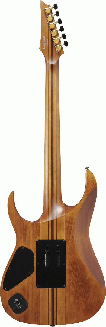 Ibanez RGT1220PB ABS Premium Electric Guitar w/Bag - Antique Brown Stained Flat