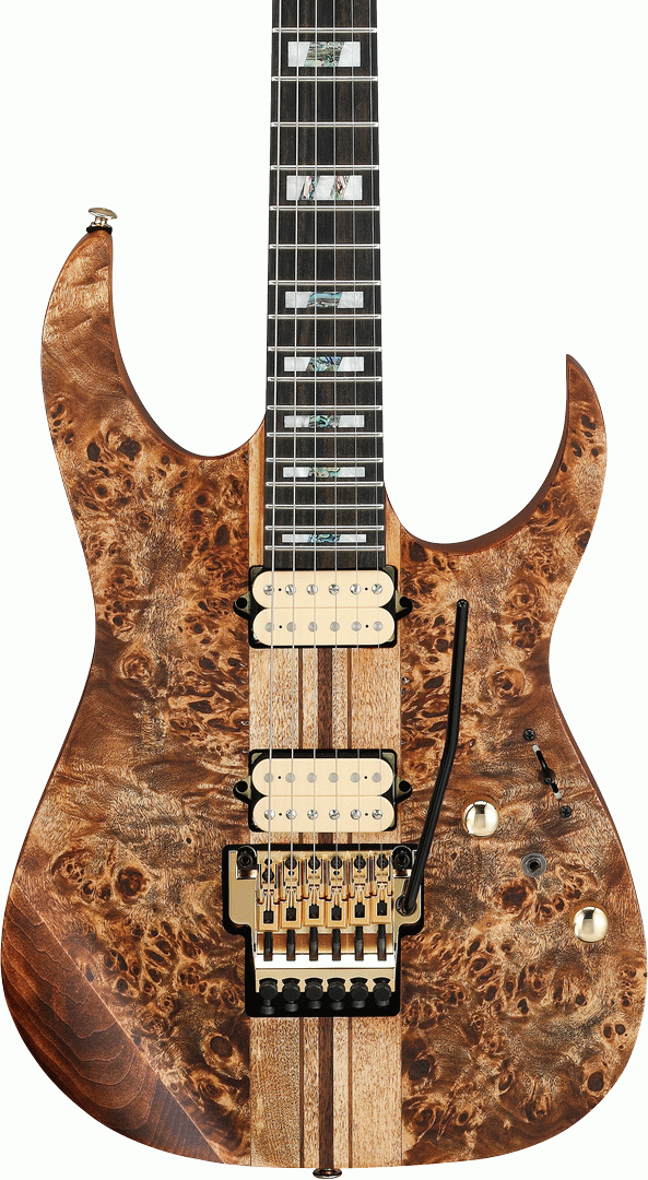 Ibanez RGT1220PB ABS Premium Electric Guitar w/Bag - Antique Brown Stained Flat