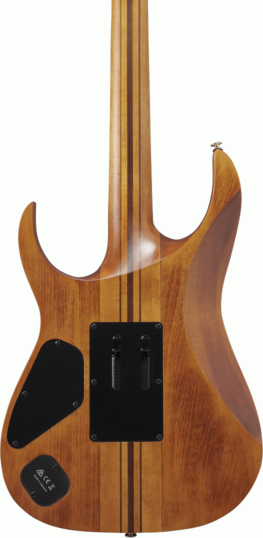 Ibanez RGT1220PB ABS Premium Electric Guitar w/Bag - Antique Brown Stained Flat