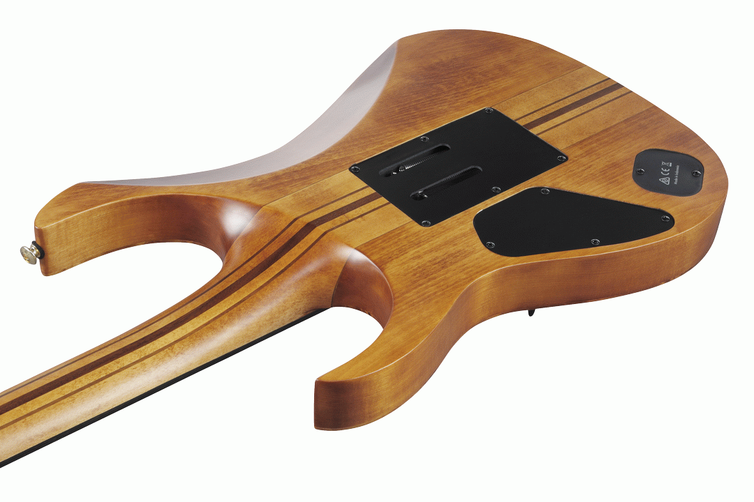 Ibanez RGT1220PB ABS Premium Electric Guitar w/Bag - Antique Brown Stained Flat