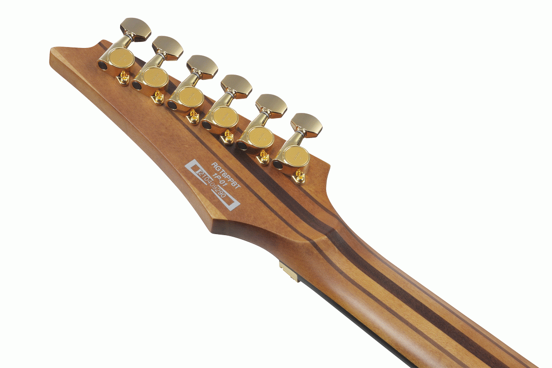 Ibanez RGT1220PB ABS Premium Electric Guitar w/Bag - Antique Brown Stained Flat