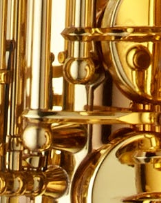 Professional Alto S/Silver Neck/Body