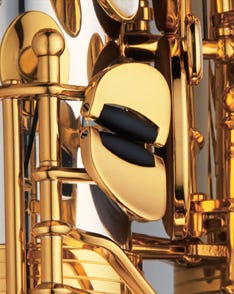 Professional Alto S/Silver Neck/Body